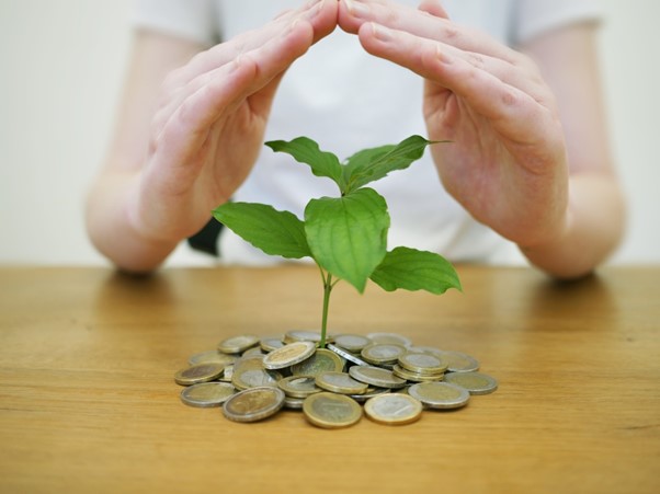 Hands protectively cupping a young plant sprouting from a pile of coins on a wooden surface, symbolizing safeguarding investments and financial growth during geopolitical uncertainties.