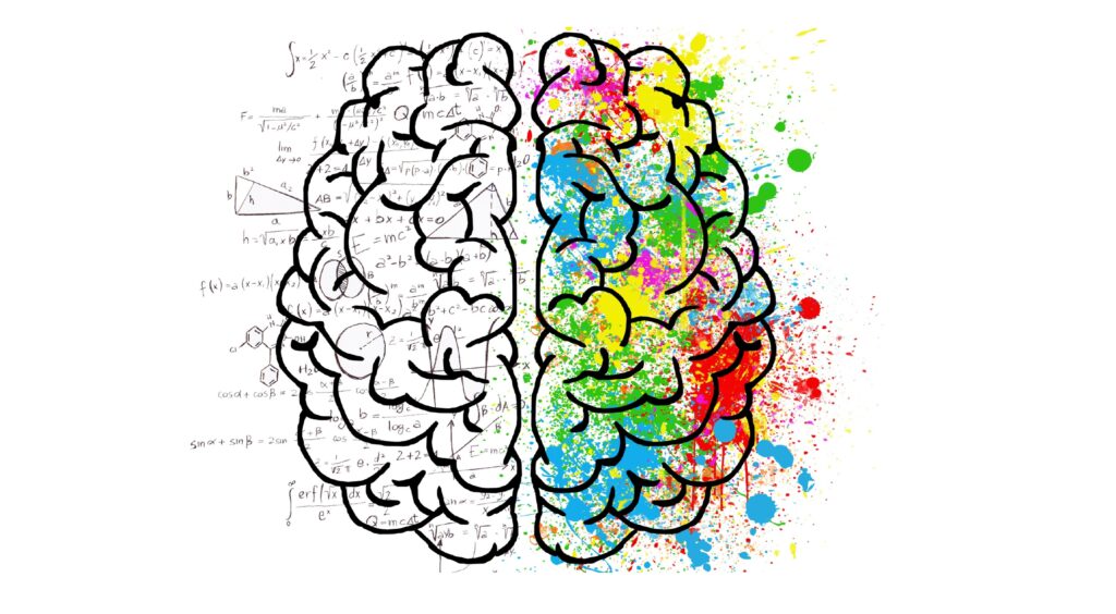 Brain divided into logical side with equations and creative side with paint splashes.